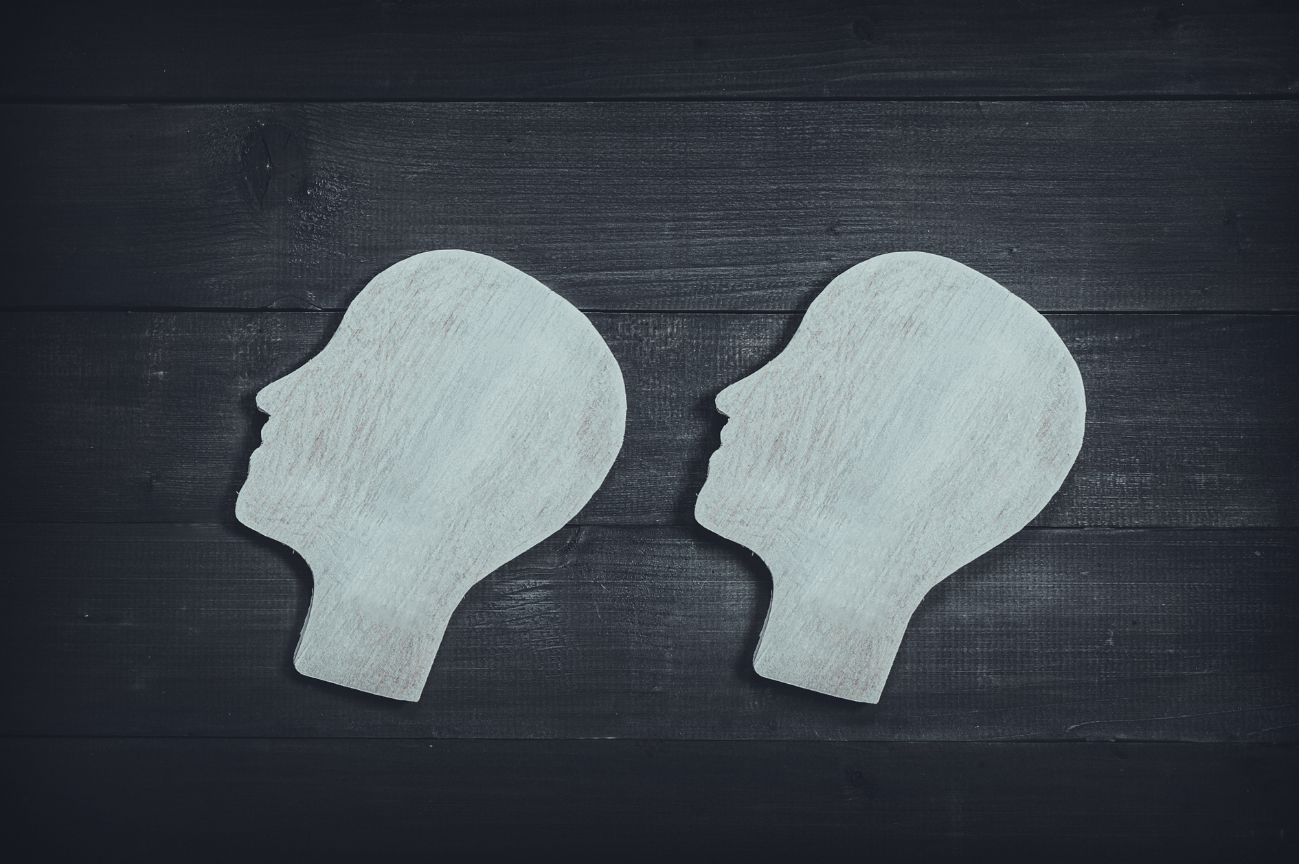 The Two Minds