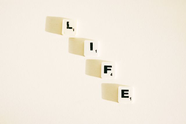 The Life I Planned to Have