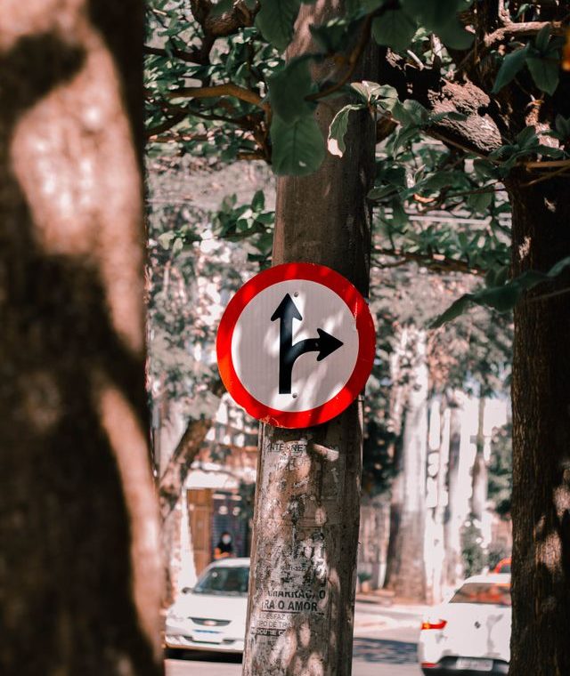 pexels-sandro-tavares-260503371-13375740